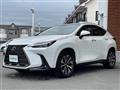 2024 Lexus NX