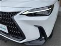 2024 Lexus NX