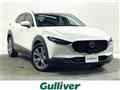 2019 Mazda CX-3