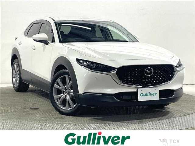 2019 Mazda CX-3