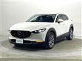 2019 Mazda CX-3