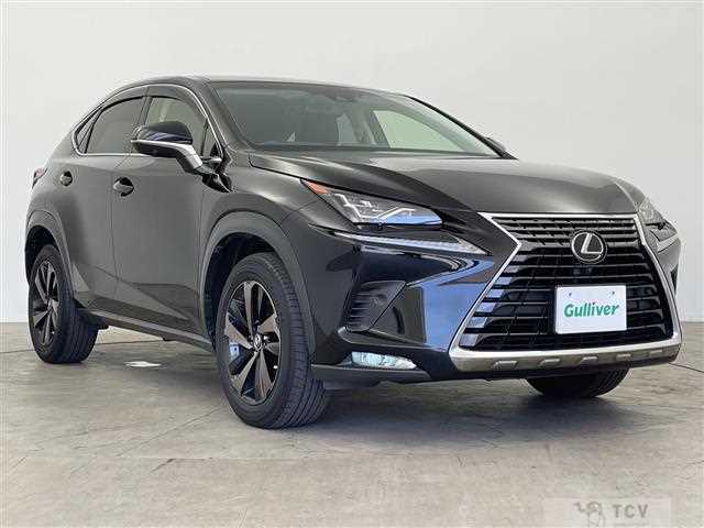 2018 Lexus NX