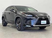 2018 Lexus NX
