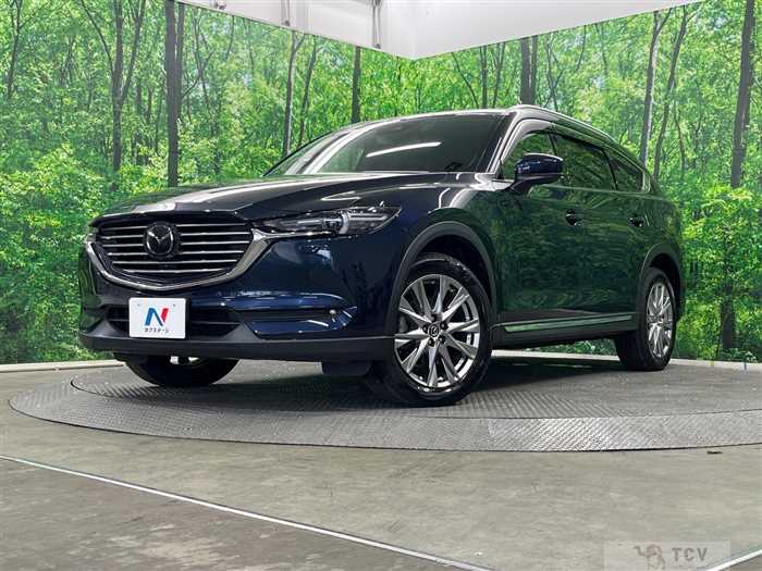 2018 Mazda CX-8