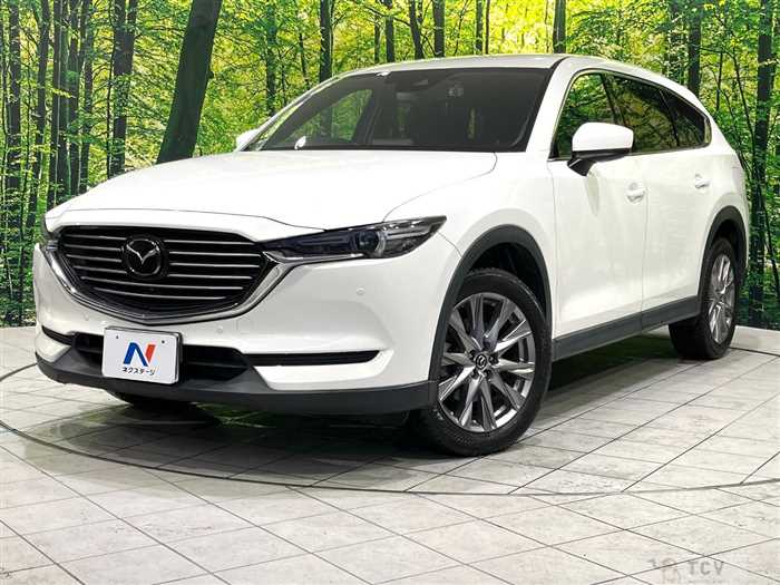 2019 Mazda CX-8
