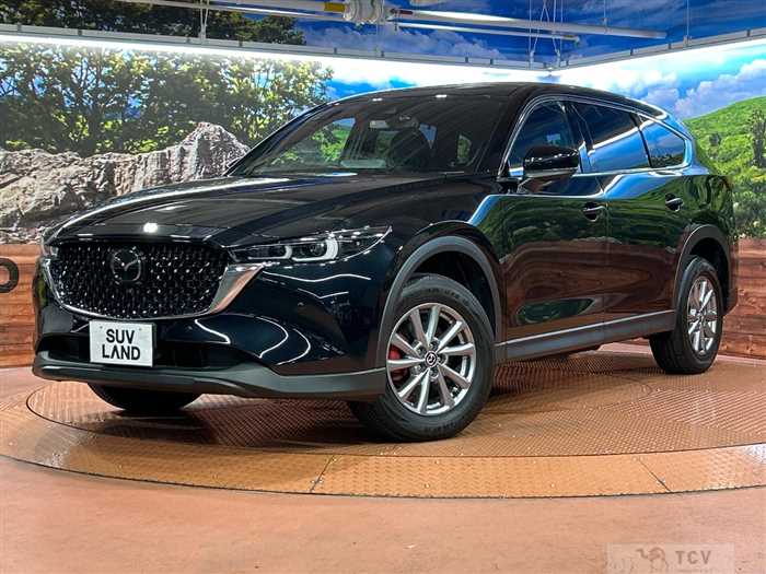 2023 Mazda CX-8