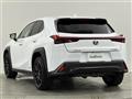 2019 Lexus UX