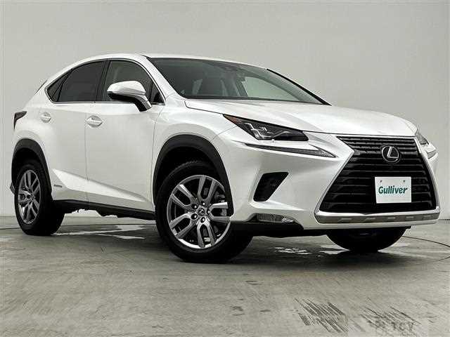 2019 Lexus NX