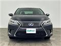 2013 Lexus HS