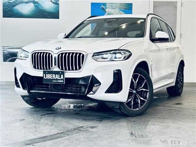 2023 BMW X3