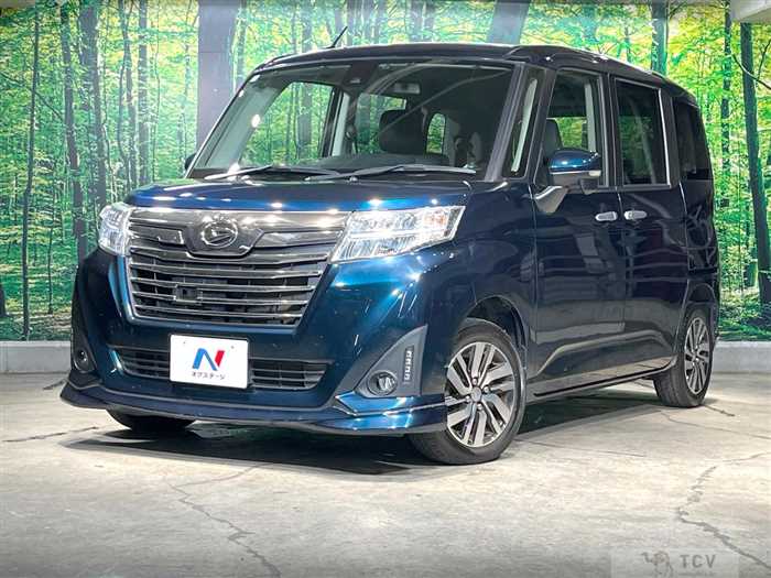 2017 Daihatsu Daihatsu Others