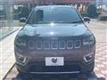 2020 Jeep Jeep Others