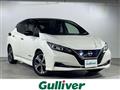 2020 Nissan Leaf