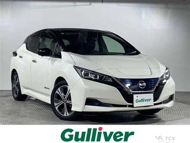 2020 Nissan Leaf