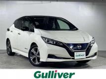 2020 Nissan Leaf