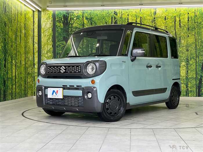 2019 Suzuki Suzuki Others
