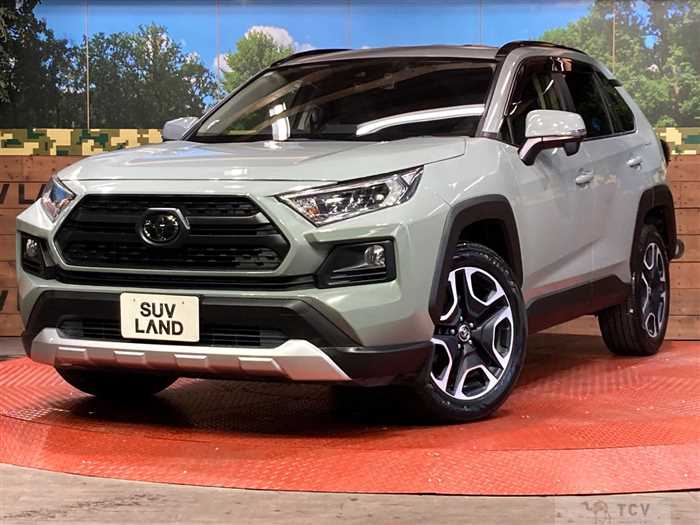 2019 Toyota RAV4
