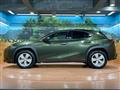 2019 Lexus Other