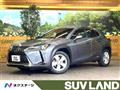 2019 Lexus Other