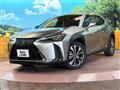 2020 Lexus Other