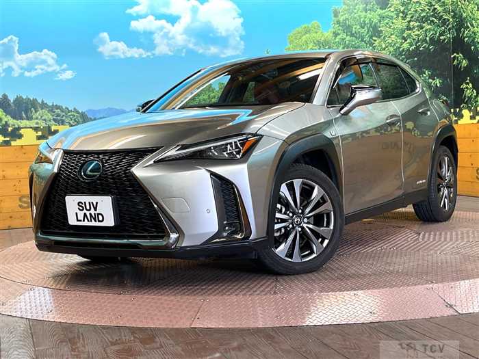 2020 Lexus Other