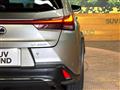 2020 Lexus Other