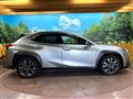 2020 Lexus Other