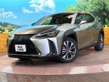 2020 Lexus Other