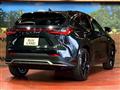 2025 Lexus NX