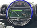 2017 BMW MINI