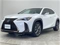 2020 Lexus UX