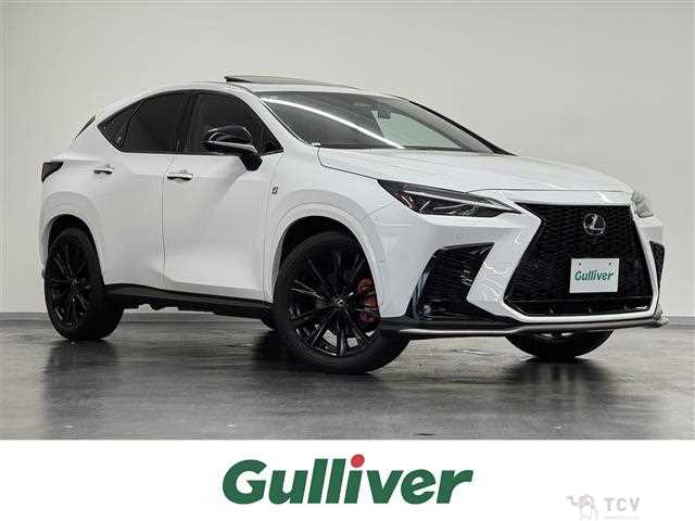 2022 Lexus NX