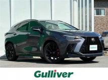 2023 Lexus NX