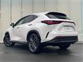 2023 Lexus NX