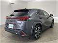 2022 Lexus UX