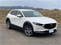 2022 Mazda CX-3
