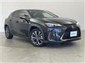 2019 Lexus UX