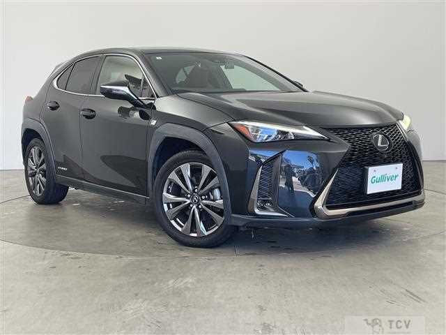 2019 Lexus UX