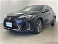 2019 Lexus UX