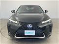 2019 Lexus UX