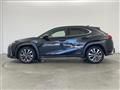 2019 Lexus UX