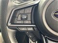 2024 Subaru Subaru Others