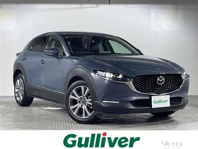 2021 Mazda CX-3