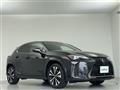 2022 Lexus UX