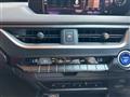 2019 Lexus UX