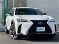 2019 Lexus UX