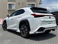 2019 Lexus UX