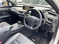 2019 Lexus UX