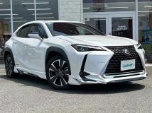 2019 Lexus UX