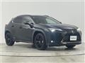 2021 Lexus UX